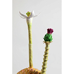 Статуэтка тропический фрукт Pandora Tropical Fruit Orange Two Flowers варинант исполнения - 2 | Loft Concept в Ростове-на-Дону