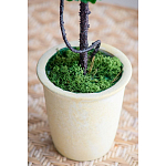 Декоративный искусственное растение Single boxwood варинант исполнения - 6 | Loft Concept в Ростове-на-Дону