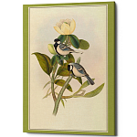 Постер на холсте с изображением птиц Blooming Birds Poster варинант исполнения - 10 | Loft Concept в Ростове-на-Дону