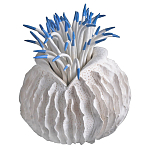 Статуэтка тропический фрукт Tropical Fruit White Blue варинант исполнения - 2 | Loft Concept в Ростове-на-Дону