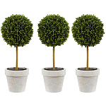 Декоративный искусственное растение Boxwood One варинант исполнения - 1 | Loft Concept в Ростове-на-Дону