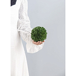 Декоративный искусственное растение Small boxwood варинант исполнения - 3 | Loft Concept в Ростове-на-Дону