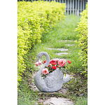 Кашпо The Proud Swan варинант исполнения - 6 | Loft Concept в Ростове-на-Дону