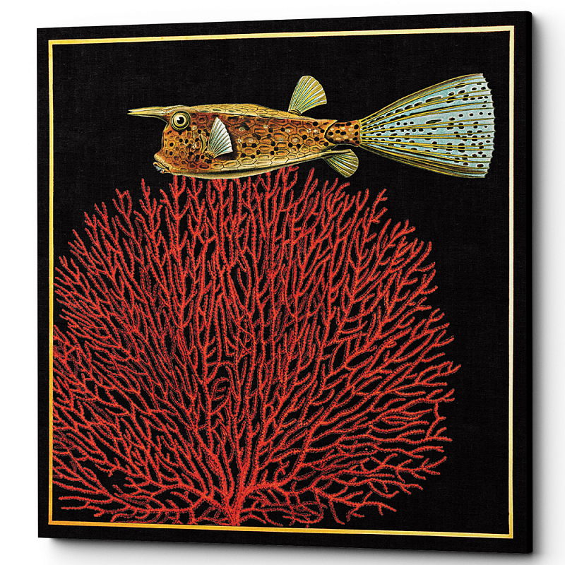  Fish and Coral Poster 3    -- | Loft Concept 