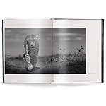 Книга Beusker. Look into my Eyes варинант исполнения - 1 | Loft Concept в Ростове-на-Дону