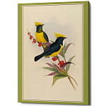 Постер на холсте с изображением птиц Blooming Birds Poster варинант исполнения - 9 | Loft Concept в Ростове-на-Дону