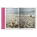 Книга Gisele Bundchen варинант исполнения - 9 | Loft Concept в Ростове-на-Дону