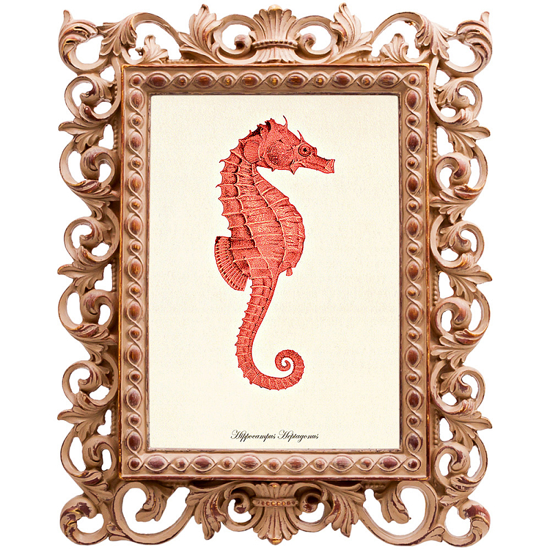  Red Seahorse Poster    -- | Loft Concept 