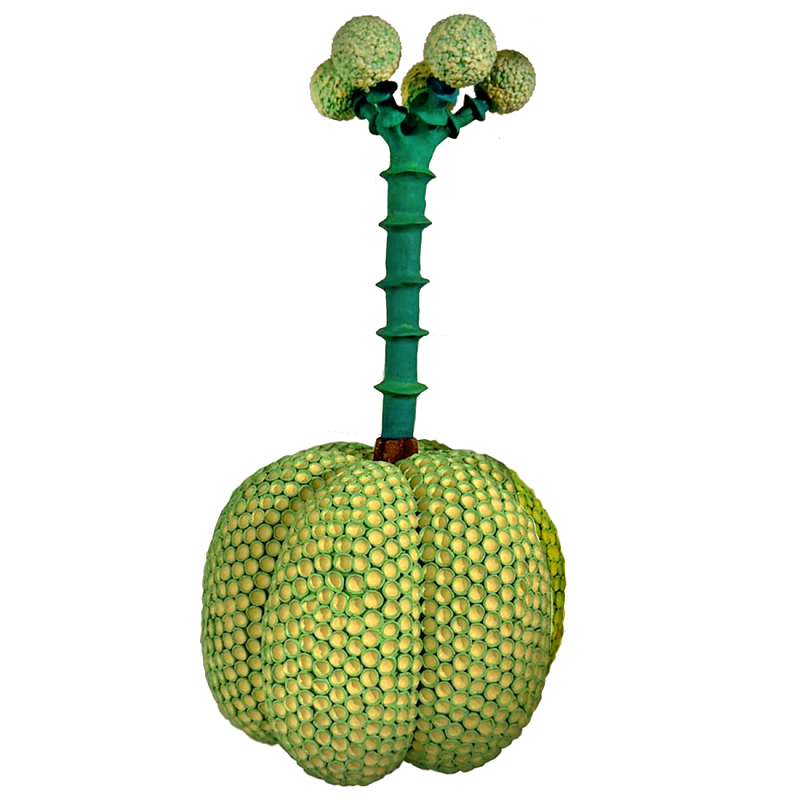 Статуэтка Зеленый тропический фрукт Pandora Tropical Light Green 69 Салатовый Мульти в Ростове-на-Дону | Loft Concept 