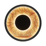 Бра круглое Gold Sun Lighting  варинант исполнения - 1 | Loft Concept в Ростове-на-Дону