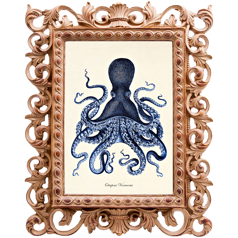  Blue Octopus Poster     -- | Loft Concept 