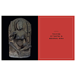 Книга Tantra: Enlightenment to Revolution варинант исполнения - 5 | Loft Concept в Ростове-на-Дону