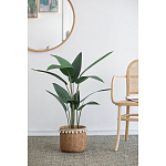 Декоративный искусственное растение Decor Stile  варинант исполнения - 5 | Loft Concept в Ростове-на-Дону